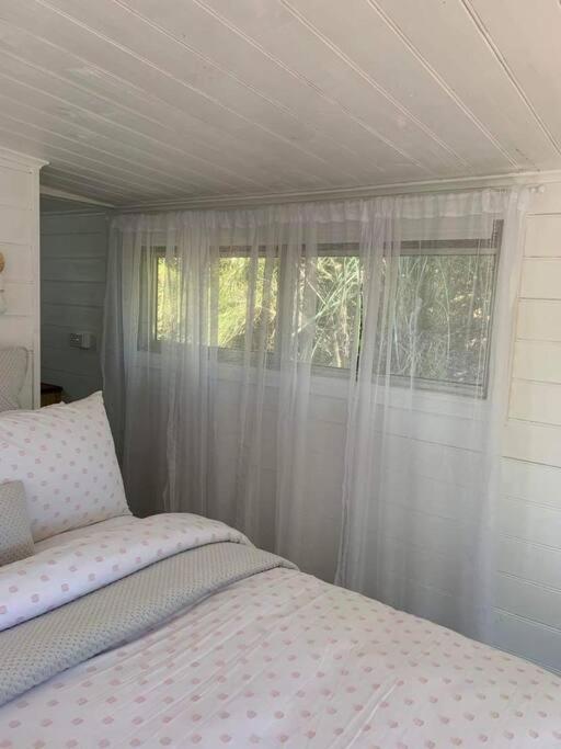 The Wandering Duck - Heritage Tiny House Strahan Exterior photo
